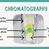 Separation Techniques: Chromatography & Crystallization - Image 4